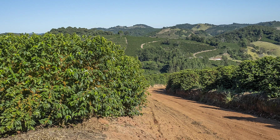 Fazenda<br /><strong>Fonte Alta</strong>