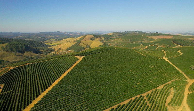 Fazenda Subasio 