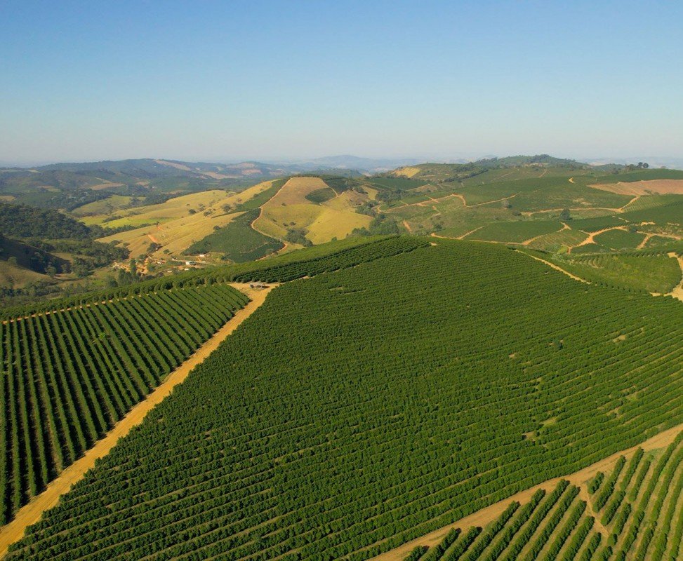 Fazenda<br /><strong>Subasio</strong>